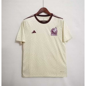Mexico Away 2022 World Cup Soccer Men Jersey