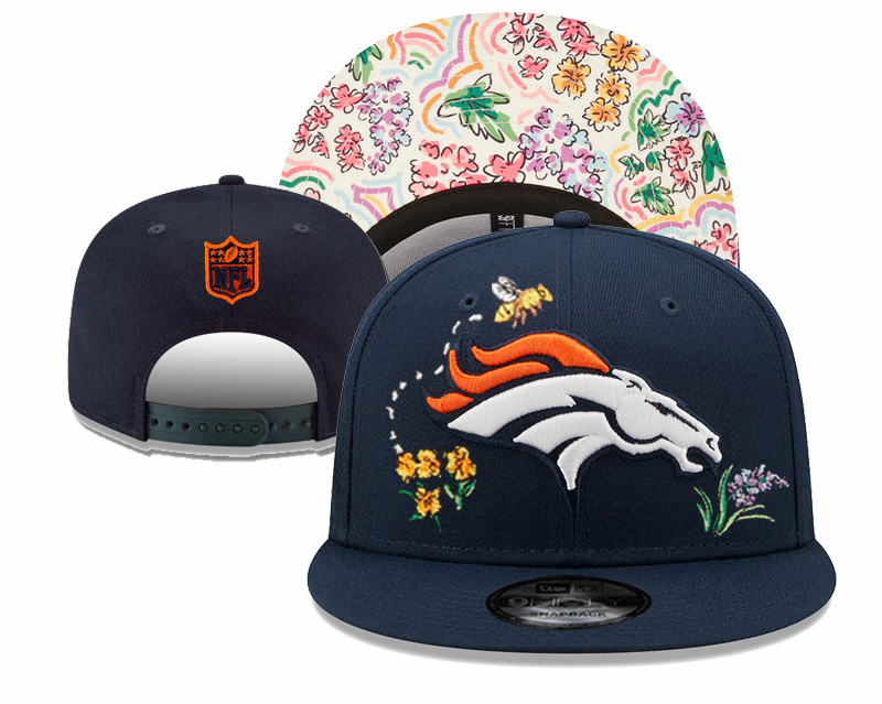 NFL Broncos blue Hat nt