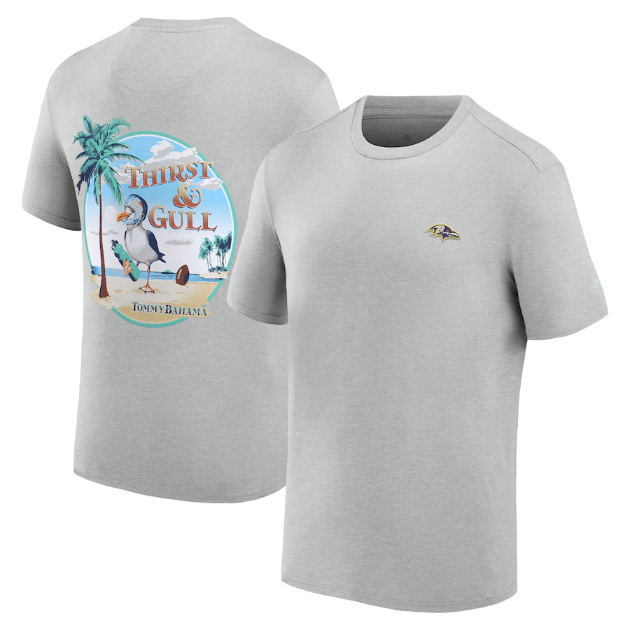 NFL Ravens T-Shirt grey 01