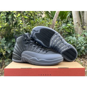 Nike Air Jordan 12 Black Wolf Grey Shoes