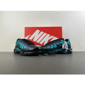 Nike Air Max Plus Black Dusty Cactus Shoes