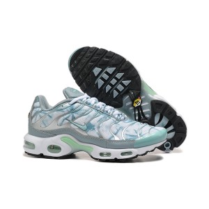 Nike Air Max Tn Plus White silver Shoes