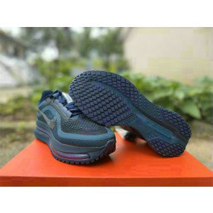 Nike Pegasus Premium Blue Shoes